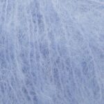 bleuet