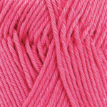 rose indien